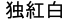 Doitsukohaku
